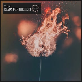 Ready For The Heat by Tengu Cover Art