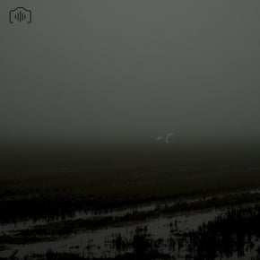 Emergency by Subp Yao Cover Art