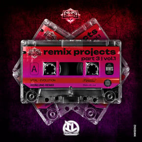 Evolution (Ironlung Remix) by Vital & Ironlung Cover Art