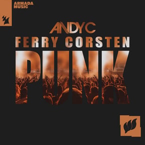 Punk by Andy C Cover Art