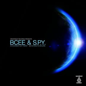 Is Anybody out There? / Nothing to Declare by BCee Cover Art
