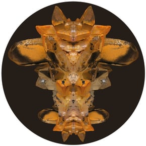 Totem / Novate by Maduk, DLR, Nymfo, Need For Mirrors & HLZ Cover Art