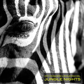 Jungle Nights by Captain Bass, Key Crashers & Émilie Rachel Cover Art
