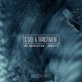 The Revolution by Transparent Cover Art