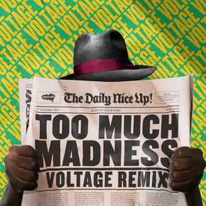 Too Much Madness (Voltage Remix) by Voltage Cover Art