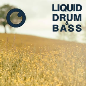 Liquid Drum & Bass Sessions 2021 Vol 47 : The Mix by Dreazz Cover Art