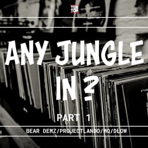 Any Jungle in? by Project Lando Cover Art