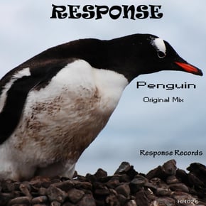 Penguin by Digital & Response Cover Art