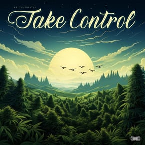 Take control by Mr Traumatik Cover Art