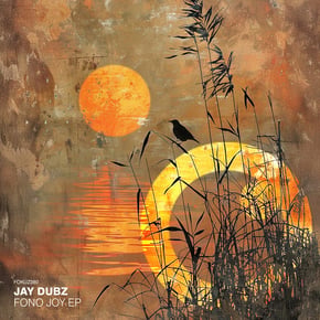 Fono Joy EP by Jay Dubz Cover Art