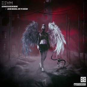Universe/Desolation by Esym Cover Art
