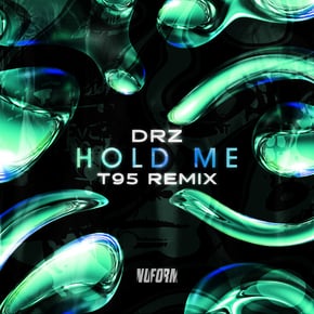 Hold Me (T95 Remix) by T95 Cover Art