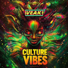 Culture Vibes by Veak Cover Art