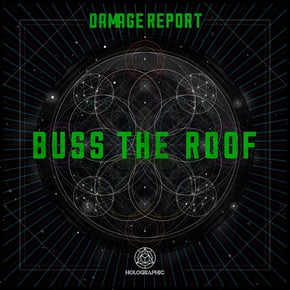 Buss the Roof by Damage Report Cover Art