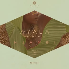 Njambi (Jaykill Remix) by Tengu, Ayala (IT) & Jaykill Cover Art
