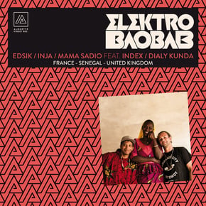 Elektro baobab (France - Senegal - United Kingdom) by Inja, Edsik & Mama Sadio Cover Art