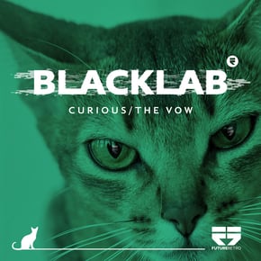 Curious / The Vow by Blacklab Cover Art