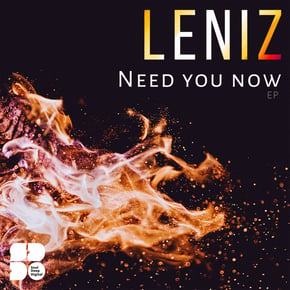 Need You Now by Leniz Cover Art