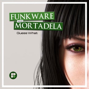 Guess What by Funkware Cover Art