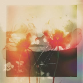 Akin / Mother by gyrofield Cover Art