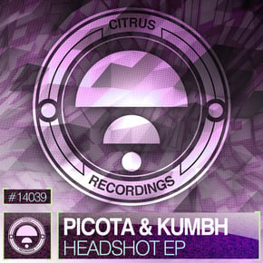 Headshot EP by Picota Cover Art
