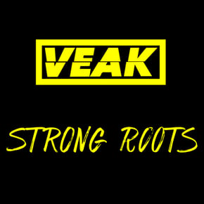 Strong Roots by DJ Direkt & Veak Cover Art