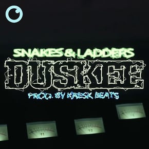 Snakes & Ladders by Duskee Cover Art
