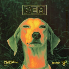 Parasites by Dub Elements Cover Art