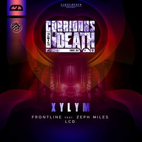 CORRIDORS OF DEATH PART 12 by Xylym Cover Art