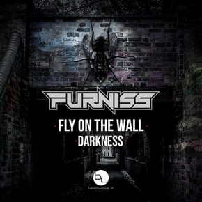 Fly On The Wall/Darkness by Furniss Cover Art