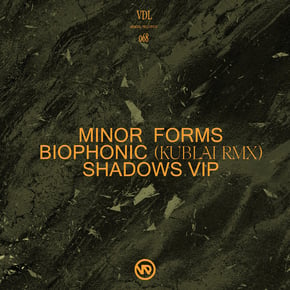 Biophonic (Kublai Remix), Shadows (VIP) by Minor Forms Cover Art