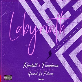 Labyrinth by Randall Cover Art