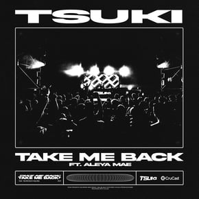 Take Me Back by Tsuki Cover Art