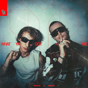 What Ya Got 4 Me by Pirapus & Signum Cover Art