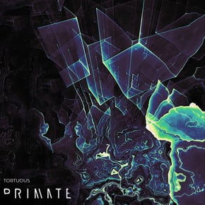 Tortuous by Primate Cover Art
