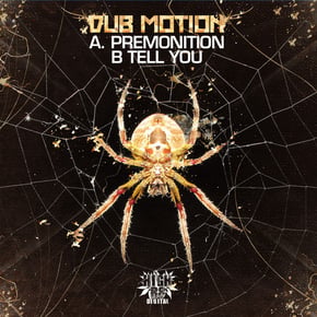 Premonition / tell you by Dub Motion Cover Art