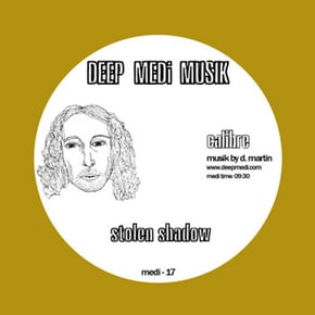Stolen Shadow by Calibre Cover Art