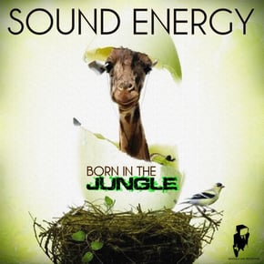 Born in the Jungle by Sound Energy Cover Art