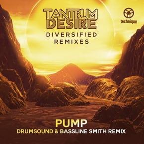 Pump (Drumsound & Bassline Smith Remix) by Tantrum Desire Cover Art