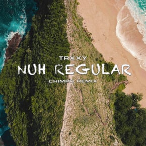 Nuh Regular (Chimpo Remix) by Chimpo Cover Art