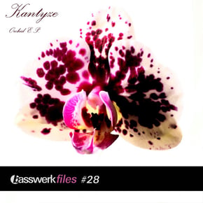 Basswerk Files #028 Orchid EP by Kantyze Cover Art