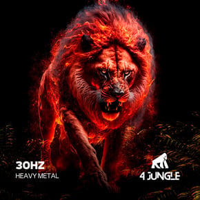 Heavy Metal by 30Hz Cover Art