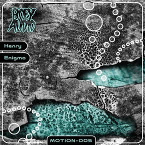 Enigma by Henry Cover Art