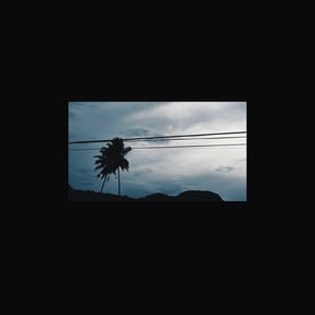 Noise Cut by Phace Cover Art