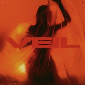 Veil by SLWDWN Cover Art