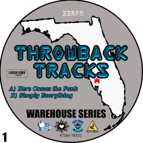 Throwback Tracks - Warehouse Series, Vol. 1 by Skynet Cover Art