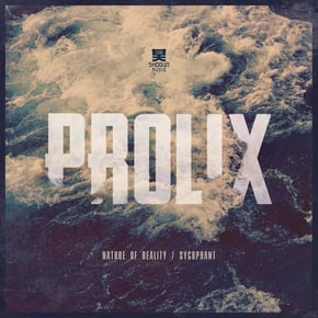 Nature of Reality / Sycophant by The Prototypes & Prolix Cover Art