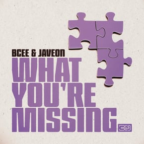 What You're Missing by BCee & Javeon Cover Art
