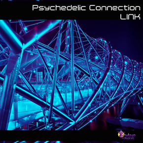 Psychedelic Connection by Link & Dave Spoon Cover Art