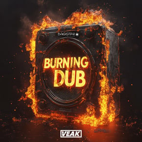 Burning Dub by Veak Cover Art